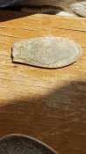 20170512_115658.jpg