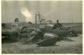 Flugzeug Airplane 110.JPG