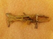 20170722_071544.jpg