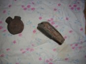 DSCN1247.JPG
