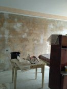 IMG_20170902_110528.jpg