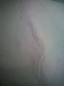 IMG_20170904_165913.jpg