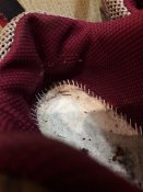 20170908_211305.jpg