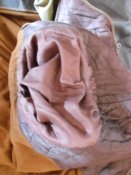 DSCN5282.JPG