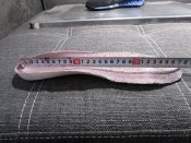 IMG_1352.JPG