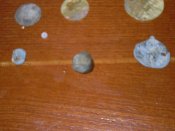 DSCN9240.JPG