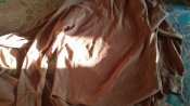 20170909_181526.jpg