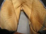 IMG_1059.JPG
