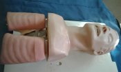 20170915_094632.jpg