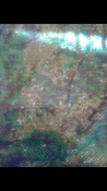 wp_ss_20170915_0009.png