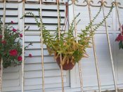 IMG_20170916_093436.jpg