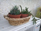 IMG_20170916_093341.jpg