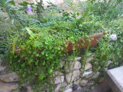 IMG_20170916_092715.jpg
