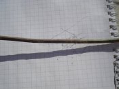 DSC04161.JPG