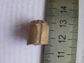 SANY0301.JPG