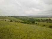 03072011515.jpg