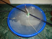 DSC01803.jpg