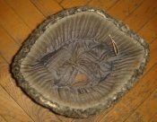 DSC01168.JPG