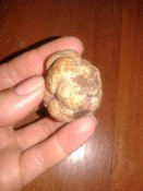20170915_175722.jpg