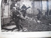 Drahtschere103.jpg