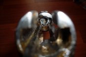 SDC11310.jpg