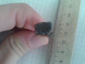 2012-02-05 09.19.59.jpg