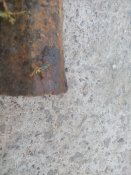 IMG_20170918_171734.jpg