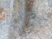 IMG_20170918_171952.jpg