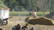 IMG_4871.JPG