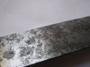 IMG_2016.JPG