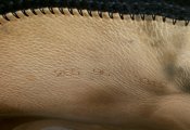 20170908_172725.jpg