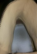20170920_131656.jpg