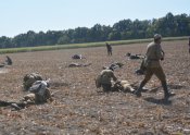 DSC_1007.JPG