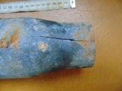 DSC01595.JPG