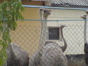 DSC00873.JPG