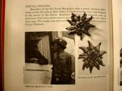 gruhocedelinsjewel04.jpg