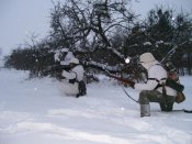 100_3853.jpg