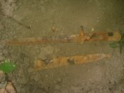 20170918_121924.jpg