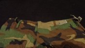 DSC02550.JPG