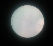 20170922_080445.jpg