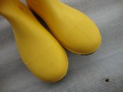 DSC01380.JPG
