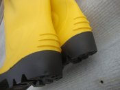 DSC01384.JPG
