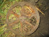 IMG_2107.JPG