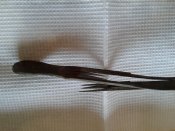 20170924_075118.jpg