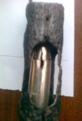 Фото0490.jpg