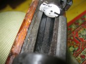 IMG_4555.jpg