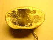 DSC01160.JPG
