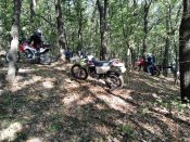 IMG_20170923_105112.jpg