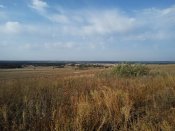 IMG_20170923_090730.jpg