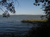 IMG_20170923_131844.jpg